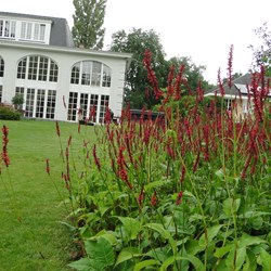 Ecologische landschapstuin